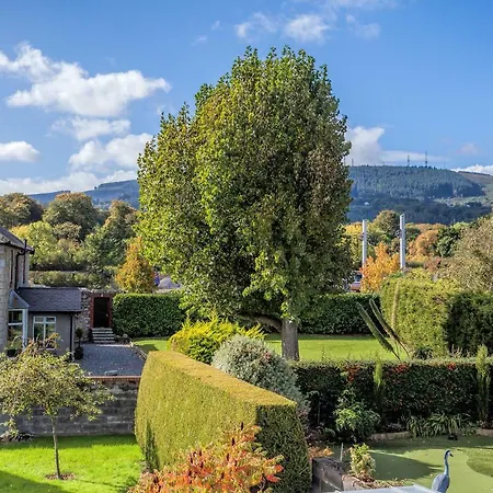 婷堂旅馆 招待所 桑迪福德