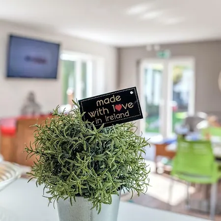 招待所 婷堂旅馆 *